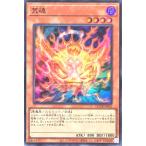 Torekajapan aqcdb sr jp016