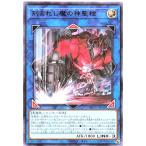 Torekajapan arota r jp045
