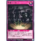 Torekajapan ekp05 nr jp064