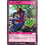 ͷ åǥ奨 RD/KP10-JP061 äѤι崳 Ρޥ N ǥå¤ѥå ǤΥ쥯!!