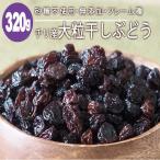 ショッピングレーズン プレミアム 送料無料 チリ産 大粒干し葡萄 ほしぶどう 400g ジャンボレーズン フレーム種  ドライフルーツ  砂糖不使用 無添加 干しぶどう ブドウ メール便