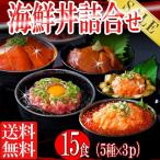 海鮮丼 マグロ漬け+サーモン+ネギトロ+トロサーモン+イカサーモン各3P 計15食 丼ぶり 送料無料