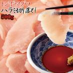 訳あり 静岡県焼津港で水揚げされた本場のマグロ 500g ビンチョウハラ身切落とし わけあり 鮪 まぐろ タイムセール