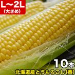 2025年収穫予約 とうもろこし 黄粒 L〜2L×10本 北海道産 とうきび お届け日指定不可無効 2025年8月下旬前後頃よりご注文順に発送