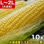 ショッピングとうもろこし とうもろこし 黄粒 L〜2L×10本　北海道産 とうきび　お届け日指定不可無効　2024年8月下旬前後頃よりご注文順に発送