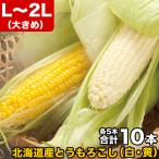 2026 год .. предварительный заказ кукуруза желтый шарик белый шарик еда . сравнение комплект L~2L каждый 5шт.@ всего 10шт.@ Hokkaido производство .. просо доставка день указание не возможно недействительный 2026 год 8 месяц последняя декада передний и задний (до и после) примерно .. заказ последовательность . отправка 