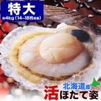 ショッピングホタテ 12月中旬から順次発送 特大ホタテ 活 貝付き 4kg前後 14〜18枚前後 北海道産 帆立 ほたて お届け日指定不可選択無効 ご注文後1〜3週間前後で収獲次第出荷