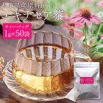 エキナセア茶 50袋入 鳥取県産原料100% エキナセア(プルプレア種)使用 農薬不使用 ティーバッグ 国産 無添加 送料無料 ネコポス(他商品との同梱不可)
