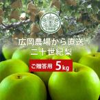 広岡農場の二十世紀梨(20世紀梨)5kg詰(9〜15玉入) 鳥取県産 なし 赤秀(ご贈答用) 送料無料(北海道・沖縄を除く)