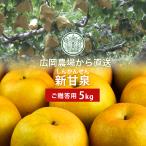 広岡農場の新甘泉(しんかんせん) 5kg詰(7〜16玉入) 鳥取県産 梨 なし 新甘泉梨 赤秀(ご贈答用) 送料無料(北海道・沖縄を除く)