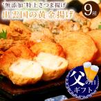 父の日 プレゼント ギフト 2025 60代 70代 80代 おつまみ 食べ物 『“無添加”特上さつま揚げ「出雲国の黄金揚げ」9種詰合せ(のどぐろほか) ギフト 送料無料』