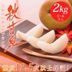 梨 光センサー糖度12.5度以上保証 秋甘泉(あきかんせん)2kg詰(5〜6玉入) 鳥取県産 なし 赤秀 送料無料(北海道・沖縄を除く)