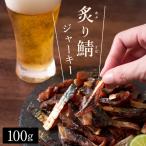 おつまみ 炙り鯖ジャーキー（プレーン）100g 国産さば使用 魚介 珍味 1000円 ポッキリ 送料無料 ネコポス（他商品との同梱不可）