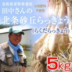  Tottori prefecture production special cultivation rice field middle san. north article sand . rakkyou 5kg( root attaching earth attaching ... rakkyou domestic production ) free shipping ( Hokkaido * Okinawa excepting )
