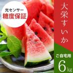 ショッピングスイカ 大栄すいか6kg前後（中玉サイズ）×1玉 鳥取県産 ご自宅用大栄スイカ 訳あり 送料無料（北海道・沖縄を除く）