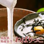 鳥取県北栄町特産 砂丘長いも「ねばりっこ」約2kg（2〜3本入） ご贈答用 送料無料（北海道・沖縄を除く）