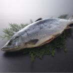  подарок бесплатная доставка [ Россия производство ]... натуральный нерка ( средний .*1 хвост примерно 2kg) прохладный рефрижератор рейс * Hokkaido * Okinawa префектура. стоимость доставки +1200 иен 