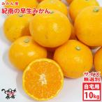 . дом для мандарин магазин . юг. . сырой мандарин уншиу нет выбор другой ( примерно 10kg)* царапина есть * размер не комплект бесплатная доставка * Hokkaido * Okinawa префектура. доставка невозможно 