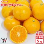 . дом для мандарин магазин . юг. . сырой мандарин уншиу нет выбор другой ( примерно 5kg)* царапина есть * размер не . бесплатная доставка * Hokkaido * Okinawa префектура. доставка невозможно 