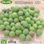 .. производство старый замок слива синий слива размер нет выбор другой *.... влияние в зависимости царапина . есть примерно 5kg для бытового использования, сливовое вино * слива сок для * часть регион доставка не возможно 