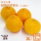 ご自宅用　みかん屋の