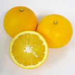 . дом для мандарин магазин. ..[. юг.. ...]( примерно 5kg)2L размер * немного царапина есть бесплатная доставка * Hokkaido * Okinawa префектура .. доставка невозможно 