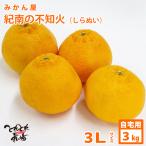 ご自宅用　みかん屋の