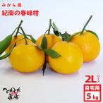 . дом для мандарин магазин. весна ..(.......)( примерно 5kg)3L размер * немного царапина есть бесплатная доставка * Hokkaido * Okinawa префектура .. доставка невозможно 