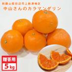  Nakayama san. прекрасный тест .. мандарин [ka лама nda Lynn [ цвет man da Lynn ]].. для ( примерно 5kg) бесплатная доставка * Hokkaido * Okinawa префектура .. доставка невозможно 