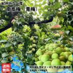 紀州みなべ産南高梅 青梅 3L〜4Lサイズ混合 約5kg ご家庭用、梅干・梅酒・梅ジュース用 ※多少傷有り ※一部地域お届け不可