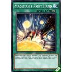 魔術師の右手 【英】【MACR-EN049】【N】_
