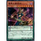 降竜の魔術師 【SD31-JP013】【N】_
