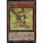 �肢���� �q�J������� �yCP19-JP017�z�yCL�z_