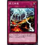 獣王無塵 【DAMA-JP078】【N】_