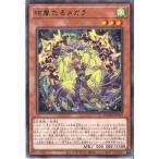 絢嵐たるメガラ 【DOOD-JP012】【R】_