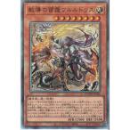 教導の雷霆フルルドリス 【DOOD-JP026】【UM】_