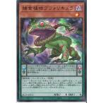 捕食植物ブフォリキュラ 【BLZD-JPS13�