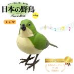  японский дикая птица music birdmejiro человек чувство сенсор электрический колеблющийся ....TKSK фигурка интерьер подарок подарок учеба настоящий 