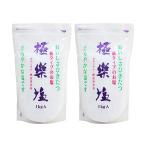 極楽塩 1kg 2個 波動法製造 天日塩 ミ