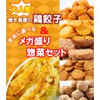 Yahoo! Yahoo!ショッピング(ヤフー ショッピング)餃子 大人気 焼き鳥屋の鶏餃子（500g 一個約28g）と選べるメガ盛りお惣菜2パックセット
