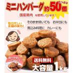 ハンバーグ メガ盛り約50個 1kg 一口サイズのミニハンバーグ 国産鶏使用 カレー、お弁当、 朝食 に最適なお惣菜、おかずレンジでチン 鳥益