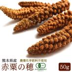 CAP! 鳥の餌 賞味期限2024/12/31【熊本県産】有機JAS認定品 赤粟の穂 50g 2022年産  ★