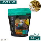 CAP! 鳥の餌 賞味期限2024/2/4 ラウディブッシュ デイリーメンテナンス ニブルズ 44oz1.25kg