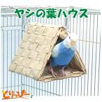 鳥用おもちゃ