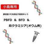 【PCR法遺伝子検査】小鳥の遺伝子検査キット　BFD[APV] + PBFD + 鳥クラミジア(オウム病) 検出用
