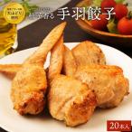 手羽餃子 20本 国産ブランド鶏 大山