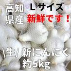 高知県産 生 新にんにく Lサイズ 約5kg 今年収穫分 生ニンニク 新ニンニク