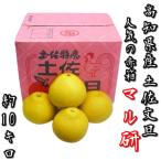 【ご贈答用・ご家庭用】高知県産 土佐文旦(ぶんたん) マル研 大玉3L〜４Lサイズ 約10kg