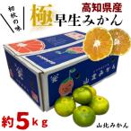 高知県産 極早生 (ごくわせ) 山北みかん M~Lサイズ 約５kg ご家庭用 ご贈答用 送料無料