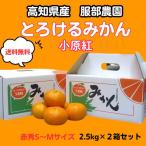 【ご贈答用にも最適】高知県産 服部農園 とろけるみかん 小原紅 秀品 赤 S〜Mサイズ 2.5kg×２箱セット